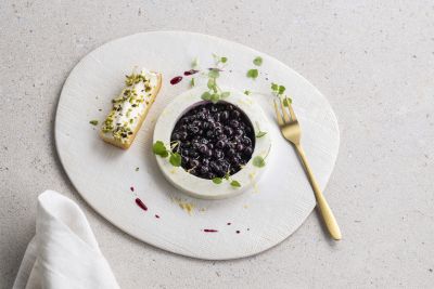 Organic blueberry dessert with soft cheese