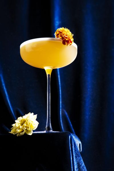 Yellow sour cocktail garnished with marigold on blue velvet