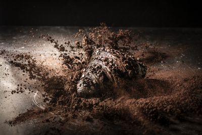Barrycallebaut Black Croissant &mdash; professional food photography by Foodphoto